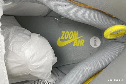 Jordan Flexible 1 Switch Air CW6576- Smoke 5165 Light High 197 0723